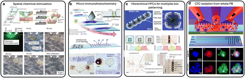 image file: d5lc00879d-f7.tif