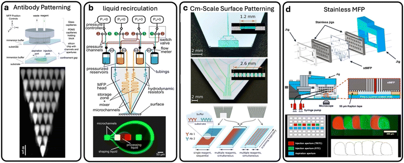 image file: d5lc00879d-f9.tif