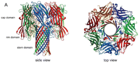 image file: d5lc00885a-u1.tif