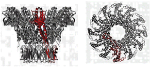 image file: d5lc00885a-u3.tif