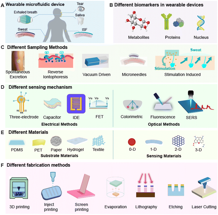 image file: d5lc00892a-f1.tif