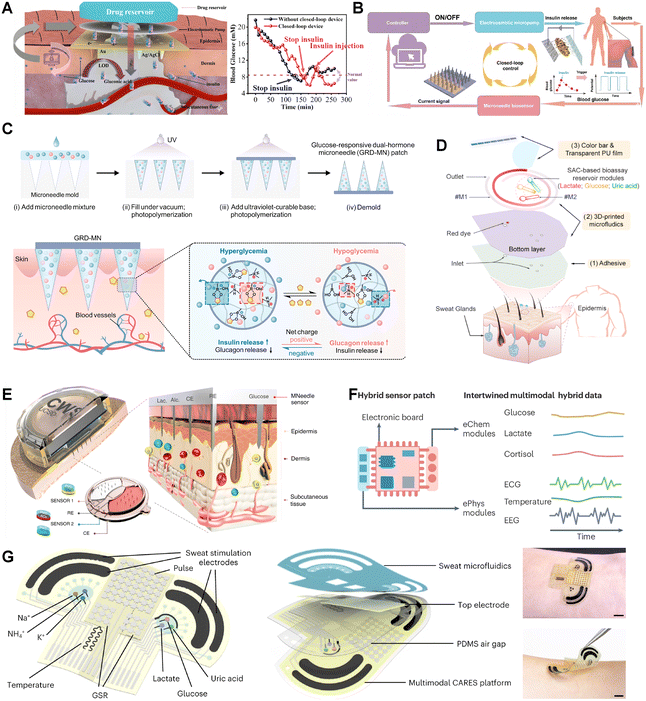 image file: d5lc00892a-f5.tif
