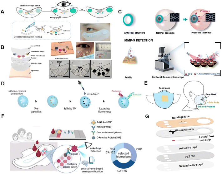 image file: d5lc00892a-f7.tif