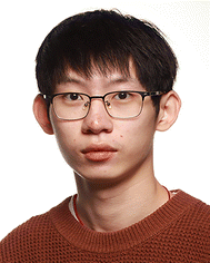 image file: d5lc00900f-p1.tif