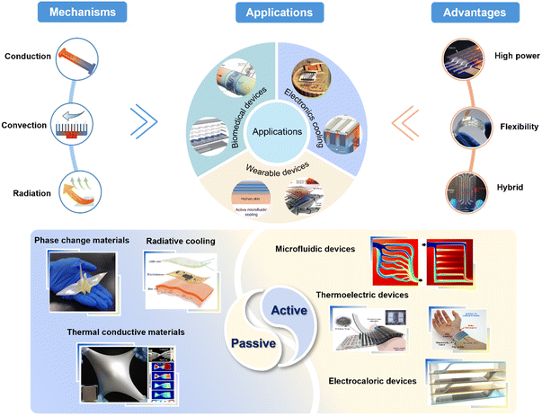 image file: d5lc00906e-f1.tif