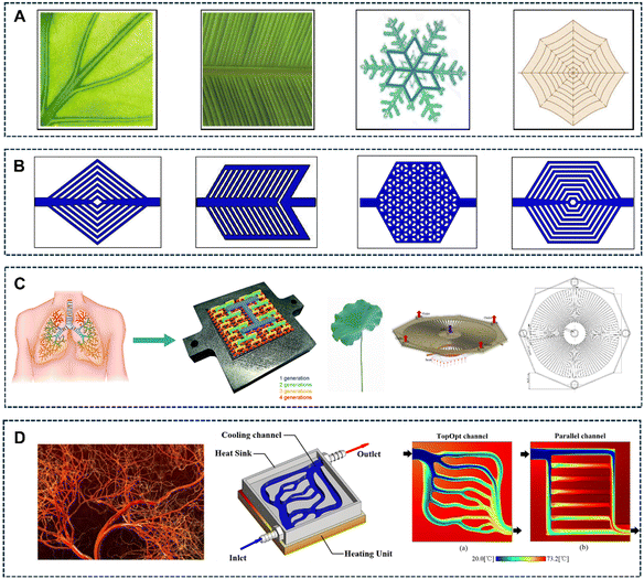 image file: d5lc00906e-f3.tif