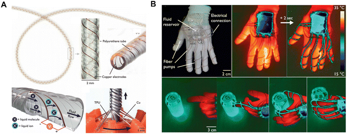 image file: d5lc00906e-f6.tif