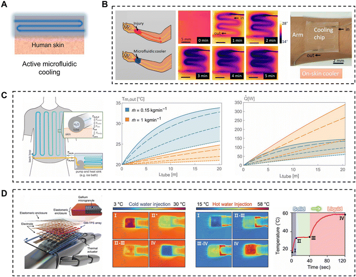 image file: d5lc00906e-f7.tif