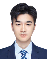 image file: d5lc00906e-p1.tif