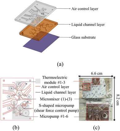 image file: d5lc00914f-f3.tif