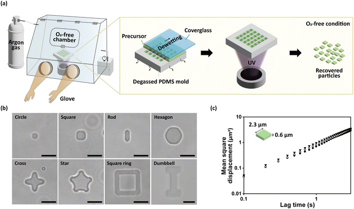 image file: d5lc00928f-f1.tif