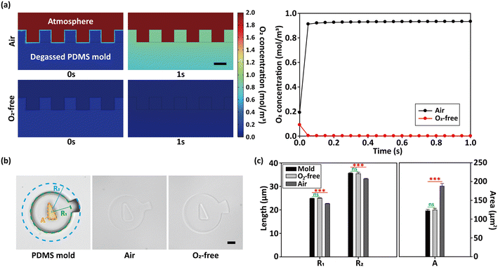 image file: d5lc00928f-f2.tif
