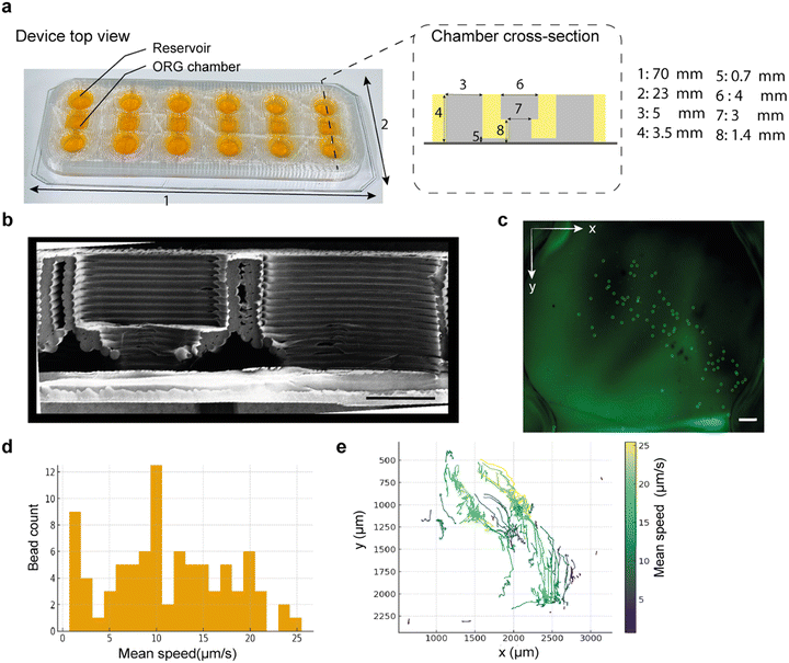 image file: d5lc00939a-f2.tif
