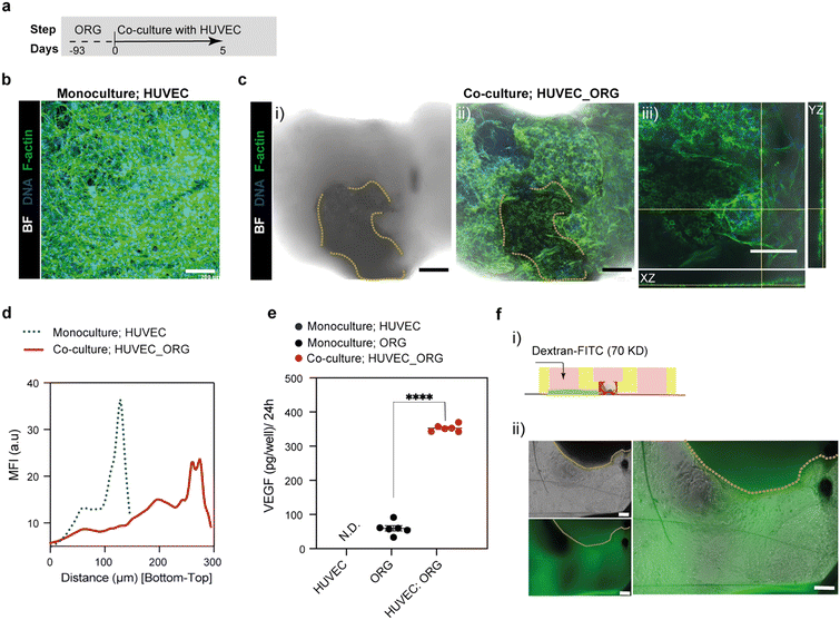 image file: d5lc00939a-f4.tif