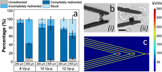 image file: d5lc00945f-f3.tif