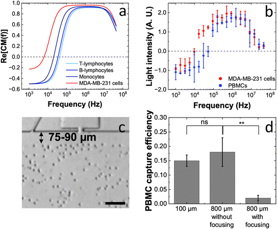 image file: d5lc00945f-f5.tif