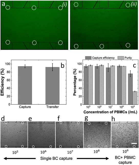 image file: d5lc00945f-f7.tif