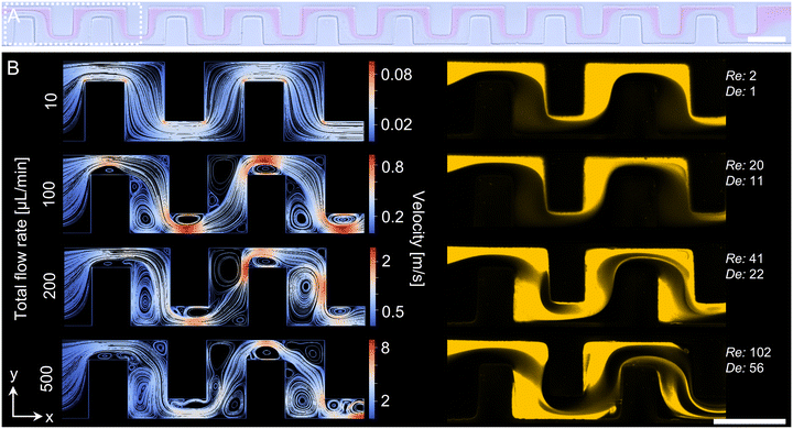 image file: d5lc00947b-f3.tif