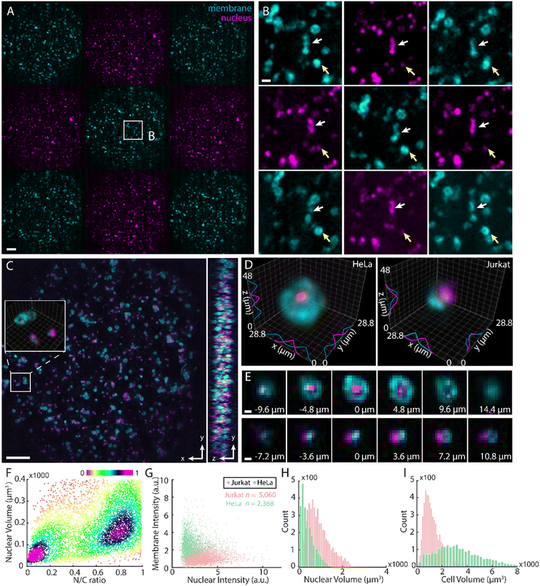 image file: d5lc00962f-f2.tif