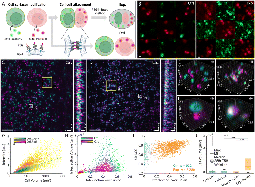 image file: d5lc00962f-f4.tif