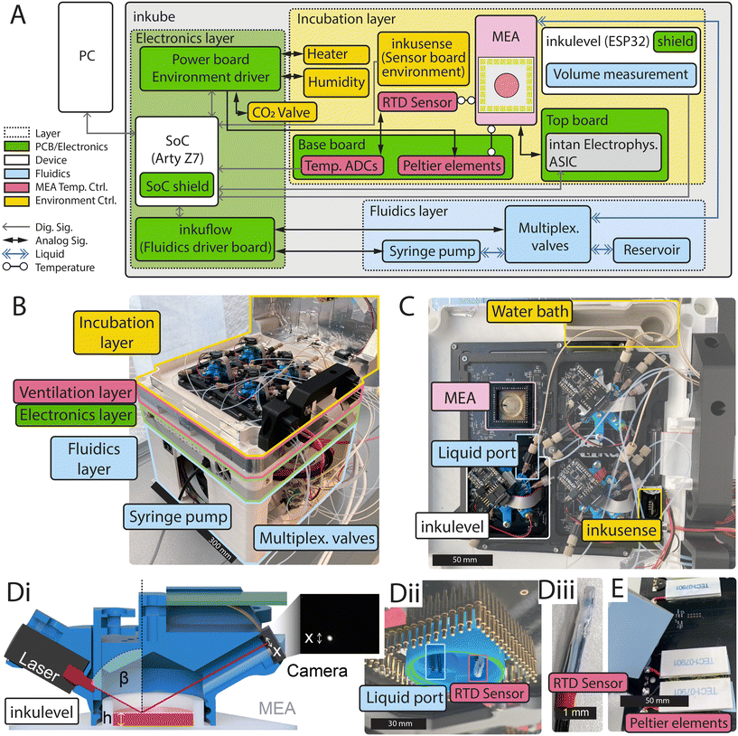 image file: d5lc00971e-f1.tif