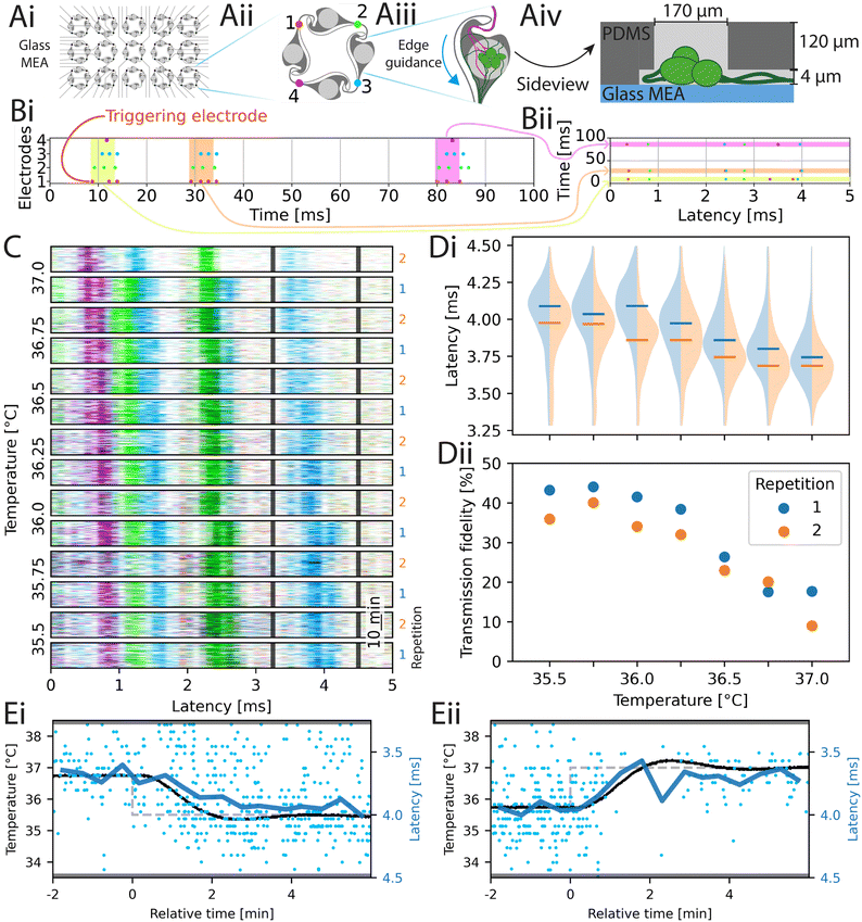 image file: d5lc00971e-f4.tif