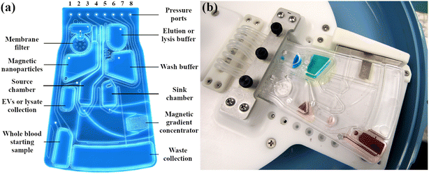 image file: d5lc00977d-f1.tif