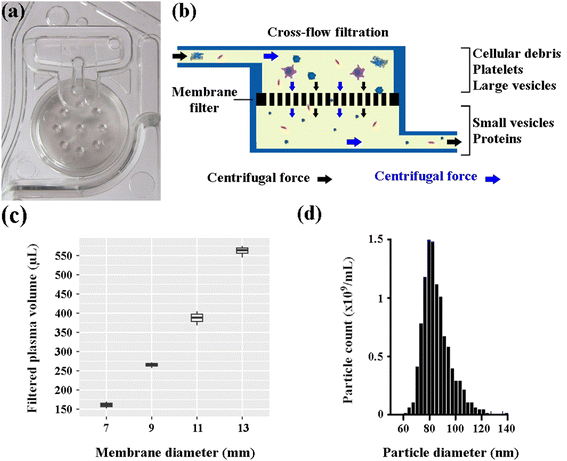 image file: d5lc00977d-f2.tif