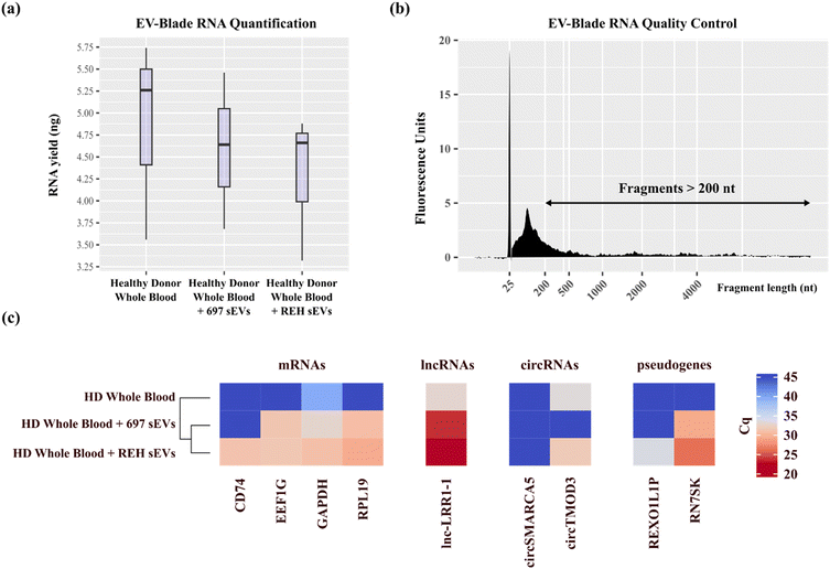 image file: d5lc00977d-f6.tif