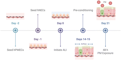 image file: d5lc00978b-f2.tif