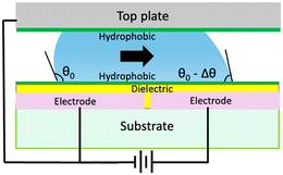 image file: d5lc00992h-u1.tif