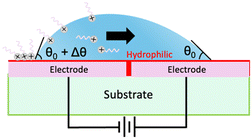 image file: d5lc00992h-u2.tif