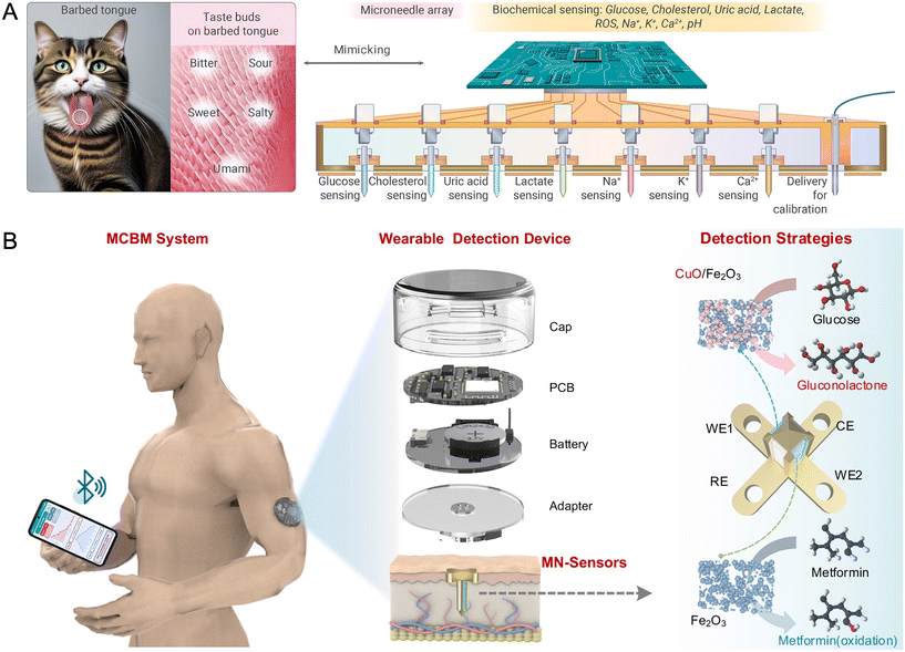 image file: d5lc00993f-f7.tif