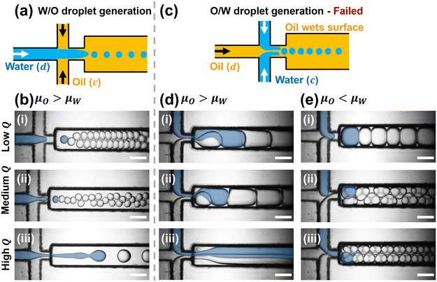 image file: d5lc00994d-f2.tif