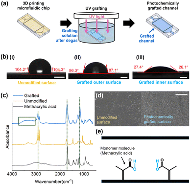 image file: d5lc00994d-f3.tif