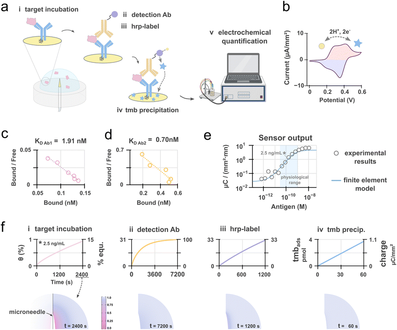 image file: d5lc01004g-f3.tif