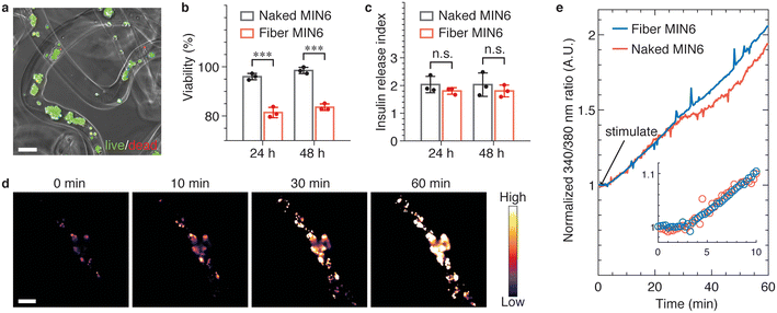 image file: d5lc01007a-f4.tif