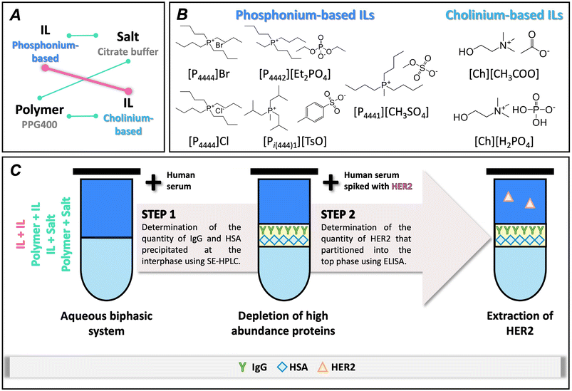 image file: d5lc01010a-f1.tif