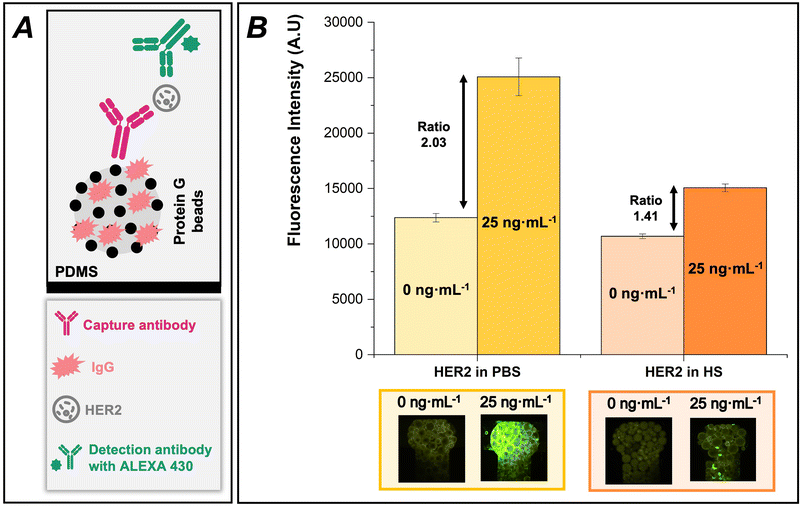 image file: d5lc01010a-f6.tif