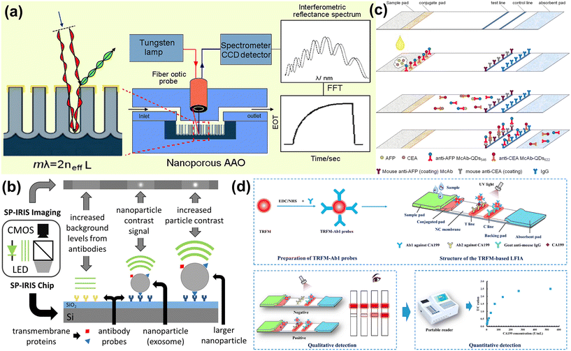 image file: d5lc01014d-f10.tif