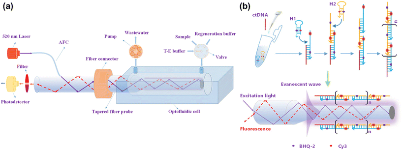 image file: d5lc01014d-f11.tif