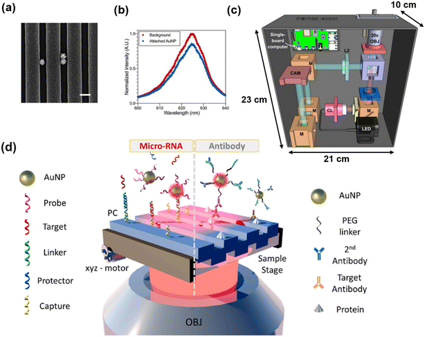 image file: d5lc01014d-f12.tif