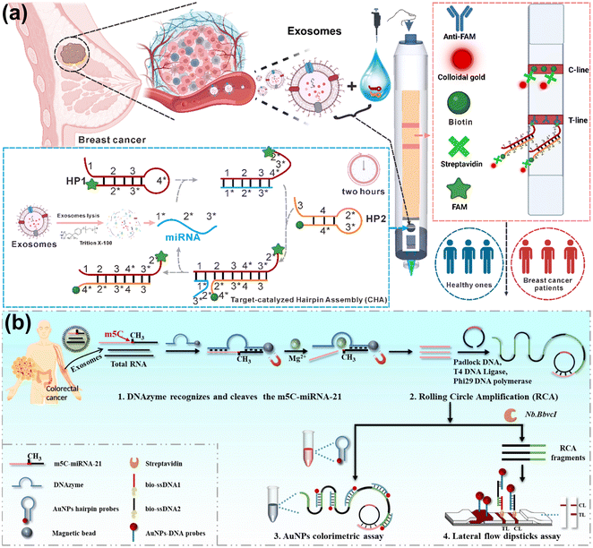 image file: d5lc01014d-f3.tif