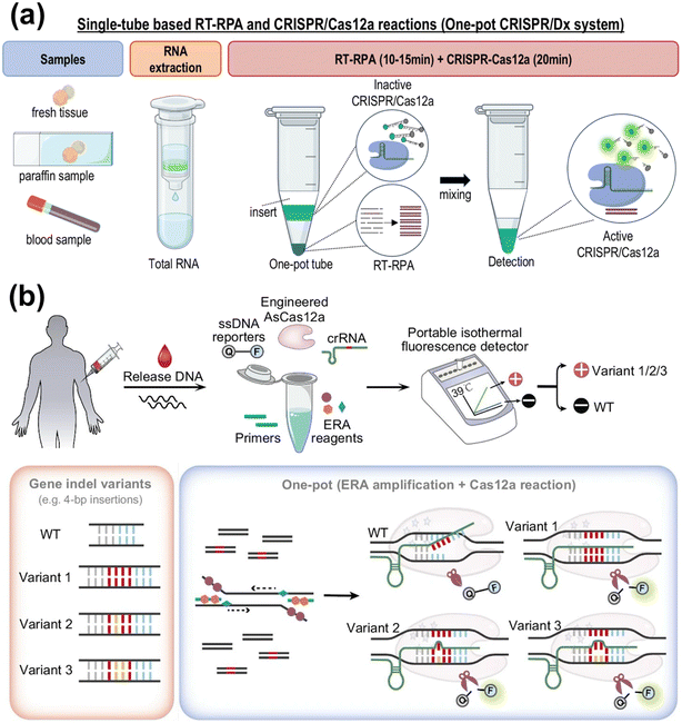 image file: d5lc01014d-f4.tif