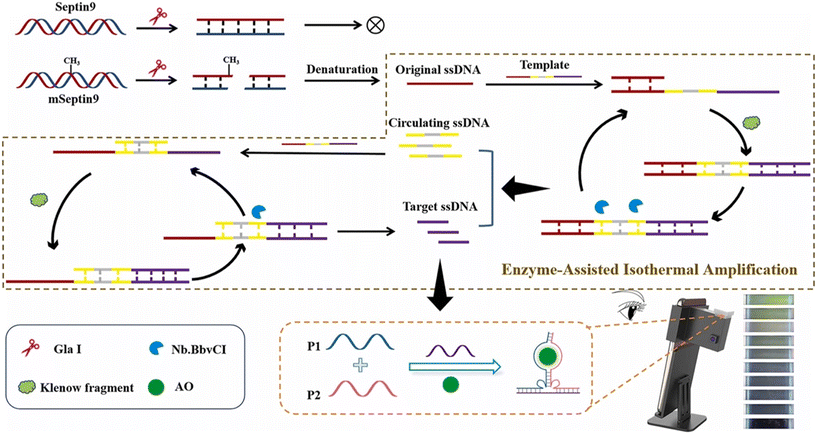 image file: d5lc01014d-f5.tif