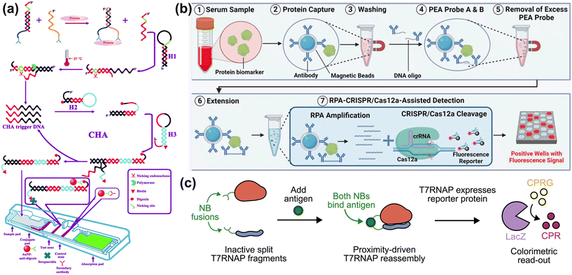image file: d5lc01014d-f7.tif