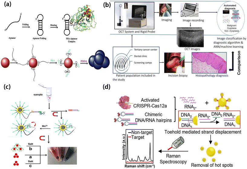 image file: d5lc01014d-f9.tif