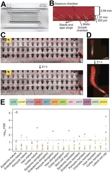 image file: d5lc01036e-f13.tif