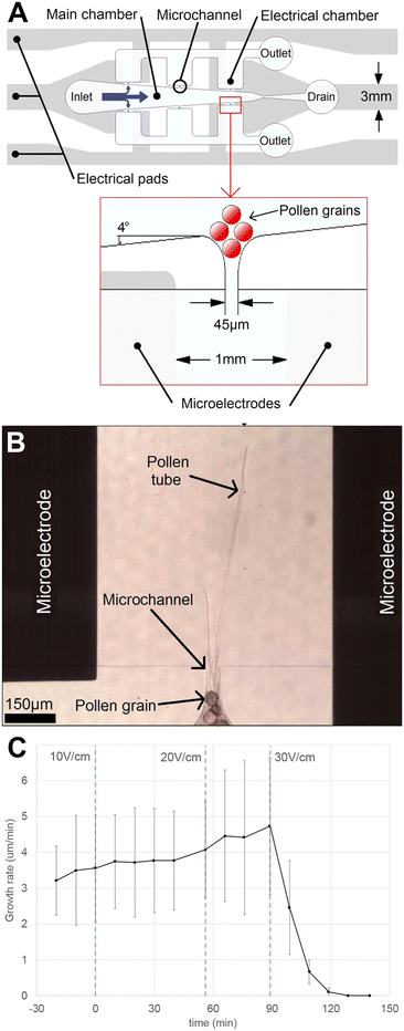 image file: d5lc01036e-f6.tif