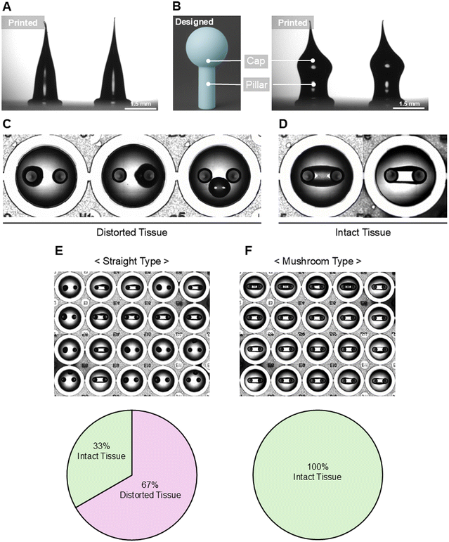 image file: d5lc01040c-f2.tif